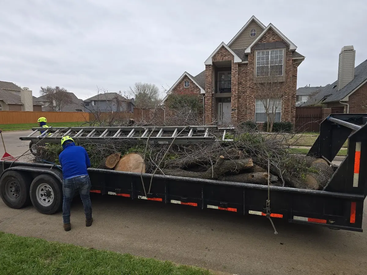 Expert Tree Pest Control with proper safety equipment in Lostant